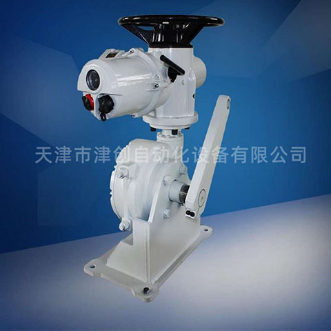 電動(dòng)執(zhí)行器 電動(dòng)執(zhí)行器